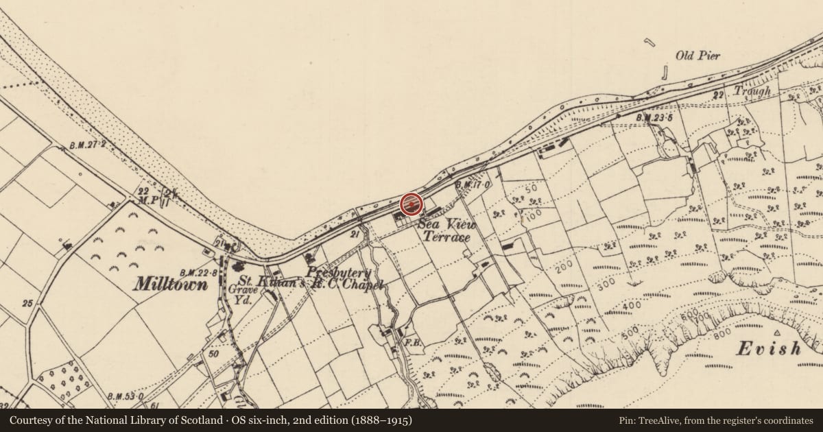 Ordnance Survey six-inch map, 2nd edition (1888–1915) covering the location of 5A Seaview Terrace, Carrivemurphy, Causeway Coast and Glens, with a pin at the register's coordinates