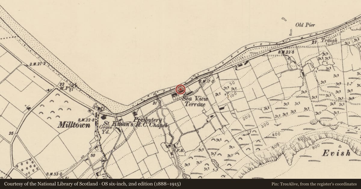 Ordnance Survey six-inch map, 2nd edition (1888–1915) covering the location of 5B Seaview Terrace, Carrivemurphy, Causeway Coast and Glens, with a pin at the register's coordinates