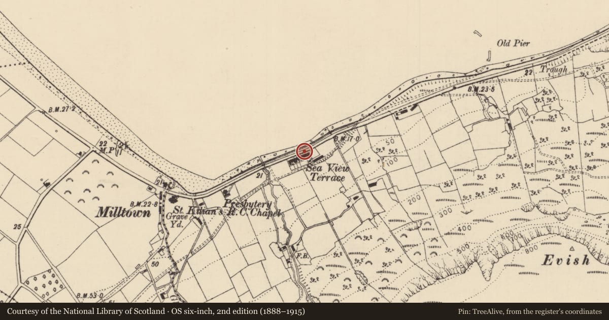 Ordnance Survey six-inch map, 2nd edition (1888–1915) covering the location of 6 Seaview Terrace, Carrivemurphy, Causeway Coast and Glens, with a pin at the register's coordinates
