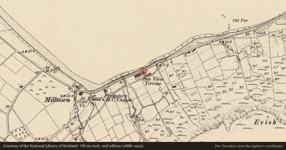 Ordnance Survey six-inch map, 2nd edition (1888–1915) covering the location of 7 Seaview Terrace, Carrivemurphy, Causeway Coast and Glens, with a pin at the register's coordinates