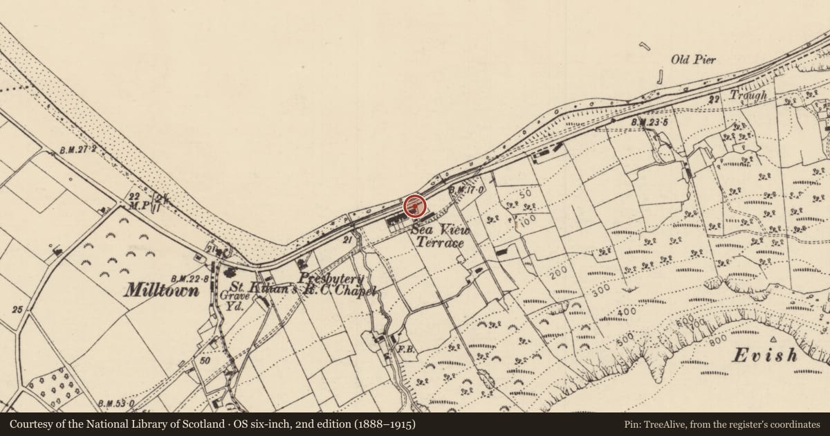 Ordnance Survey six-inch map, 2nd edition (1888–1915) covering the location of 9 Seaview Terrace, Carrivemurphy, Causeway Coast and Glens, with a pin at the register's coordinates