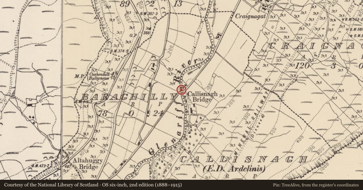 Ordnance Survey six-inch map, 2nd edition (1888–1915) covering the location of Callisnagh Bridge, Causeway Coast and Glens, with a pin at the register's coordinates