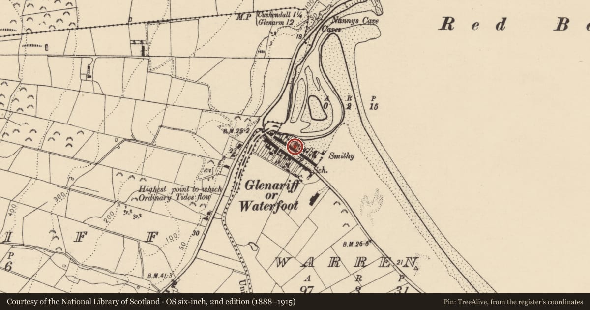 Ordnance Survey six-inch map, 2nd edition (1888–1915) covering the location of 20 – 26 Main Street (N), Causeway Coast and Glens, with a pin at the register's coordinates