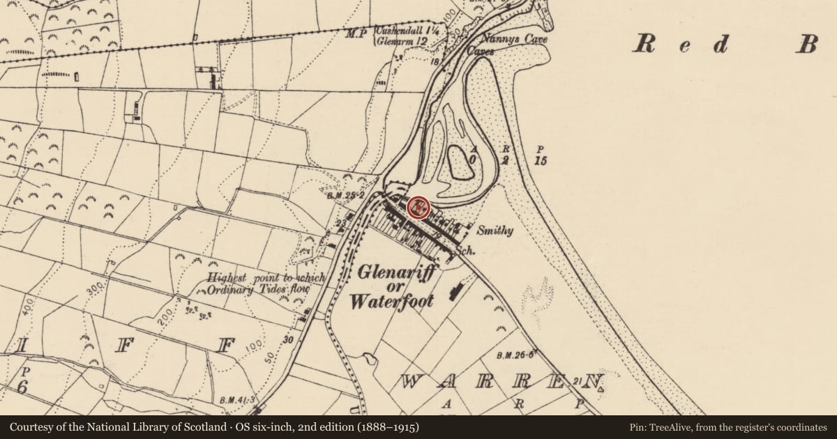 Ordnance Survey six-inch map, 2nd edition (1888–1915) covering the location of 14 Main Street (N), Causeway Coast and Glens, with a pin at the register's coordinates