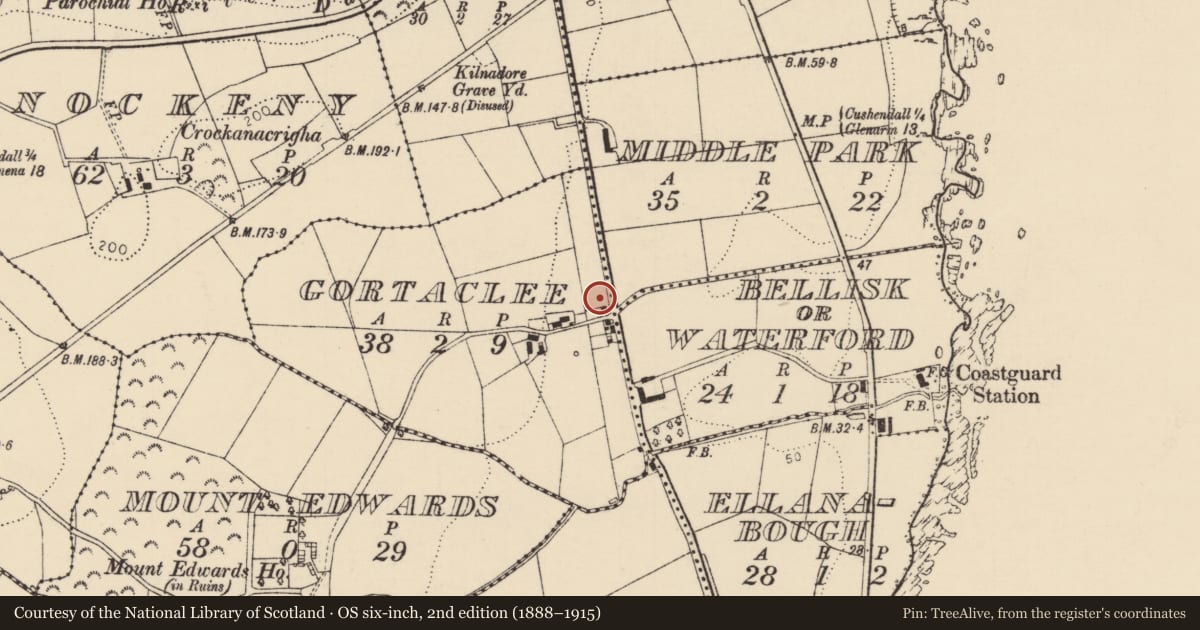 Ordnance Survey six-inch map, 2nd edition (1888–1915) covering the location of "Rose Cottage" and walling, Gortaclee, Causeway Coast and Glens, with a pin at the register's coordinates