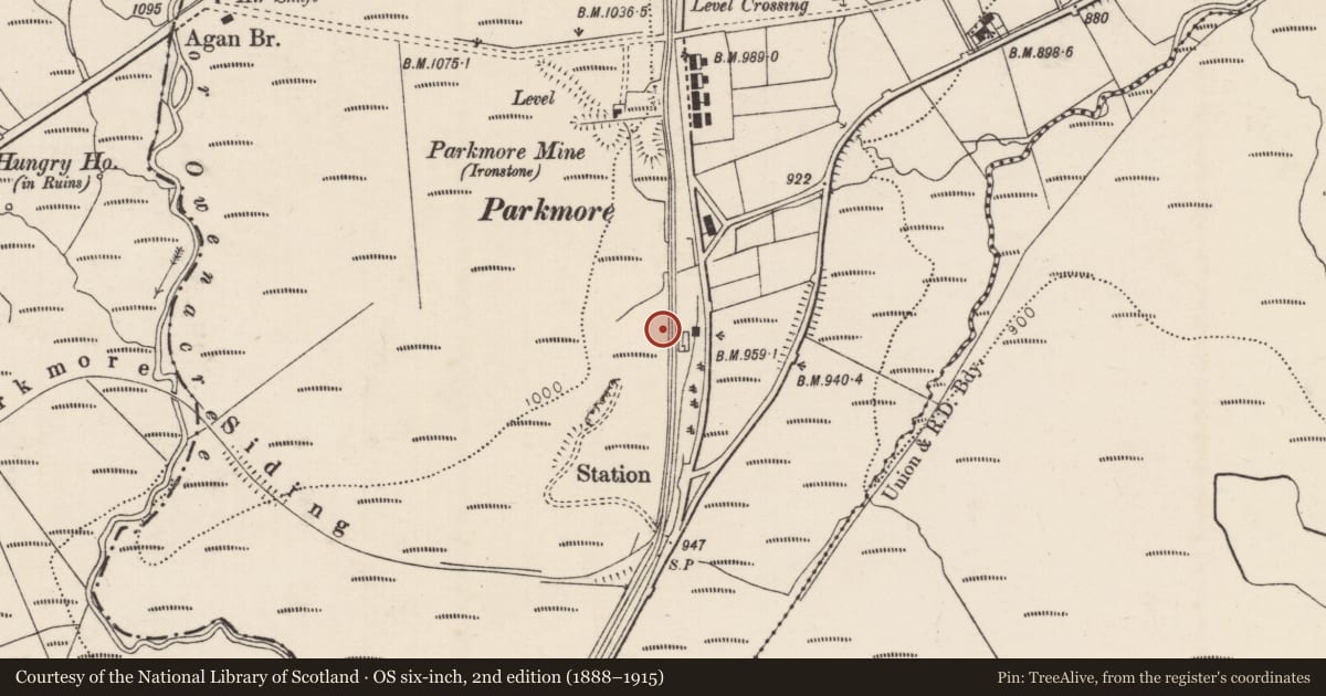 Ordnance Survey six-inch map, 2nd edition (1888–1915) covering the location of former Parkmore Railway Station, Causeway Coast and Glens, with a pin at the register's coordinates