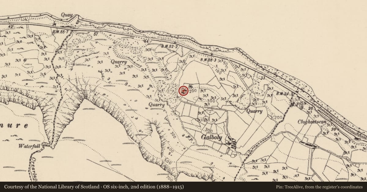 Ordnance Survey six-inch map, 2nd edition (1888–1915) covering the location of Dwelling off White Lane, Galboly Upper, Causeway Coast and Glens, with a pin at the register's coordinates