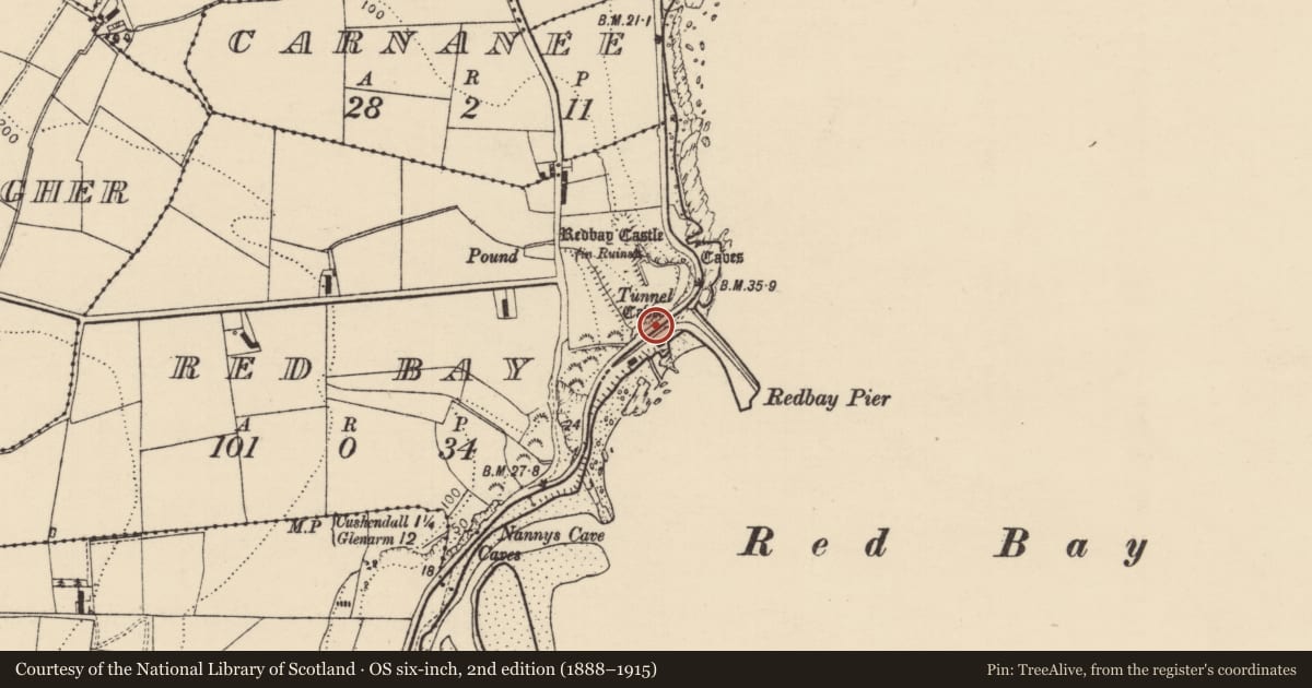 Ordnance Survey six-inch map, 2nd edition (1888–1915) covering the location of Store at Red Bay Pier, Causeway Coast and Glens, with a pin at the register's coordinates