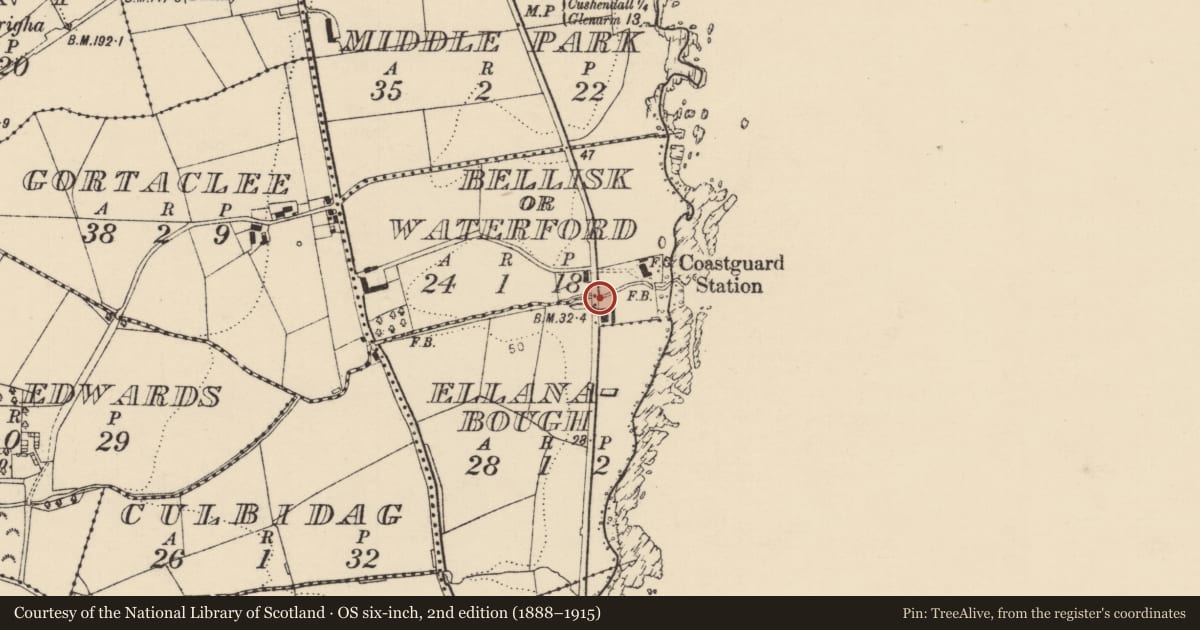 Ordnance Survey six-inch map, 2nd edition (1888–1915) covering the location of 80 Coast Road, Bellisk/Waterford, Causeway Coast and Glens, with a pin at the register's coordinates