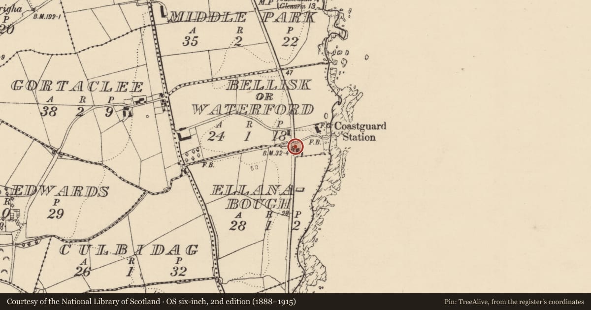 Ordnance Survey six-inch map, 2nd edition (1888–1915) covering the location of 82 Coast Road, Bellisk/Waterford, Causeway Coast and Glens, with a pin at the register's coordinates
