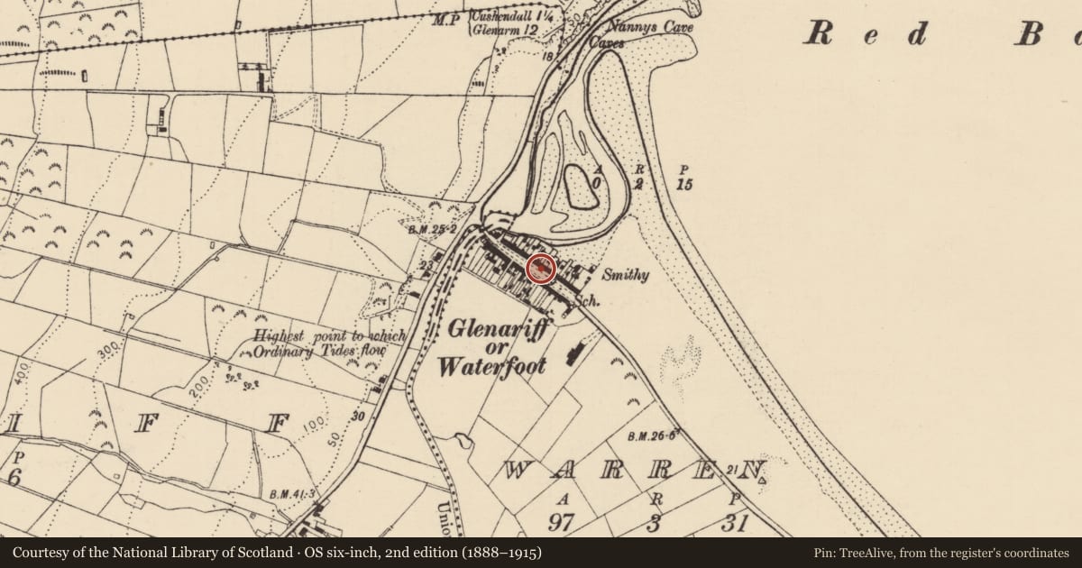Ordnance Survey six-inch map, 2nd edition (1888–1915) covering the location of K6 Telephone Kiosk, Warren, with a pin at the register's coordinates
