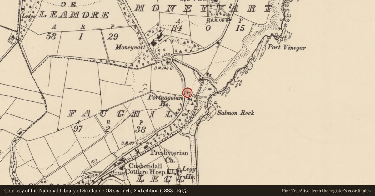 Ordnance Survey six-inch map, 2nd edition (1888–1915) covering the location of Portnagolan House, Faughil, Causeway Coast and Glens, with a pin at the register's coordinates