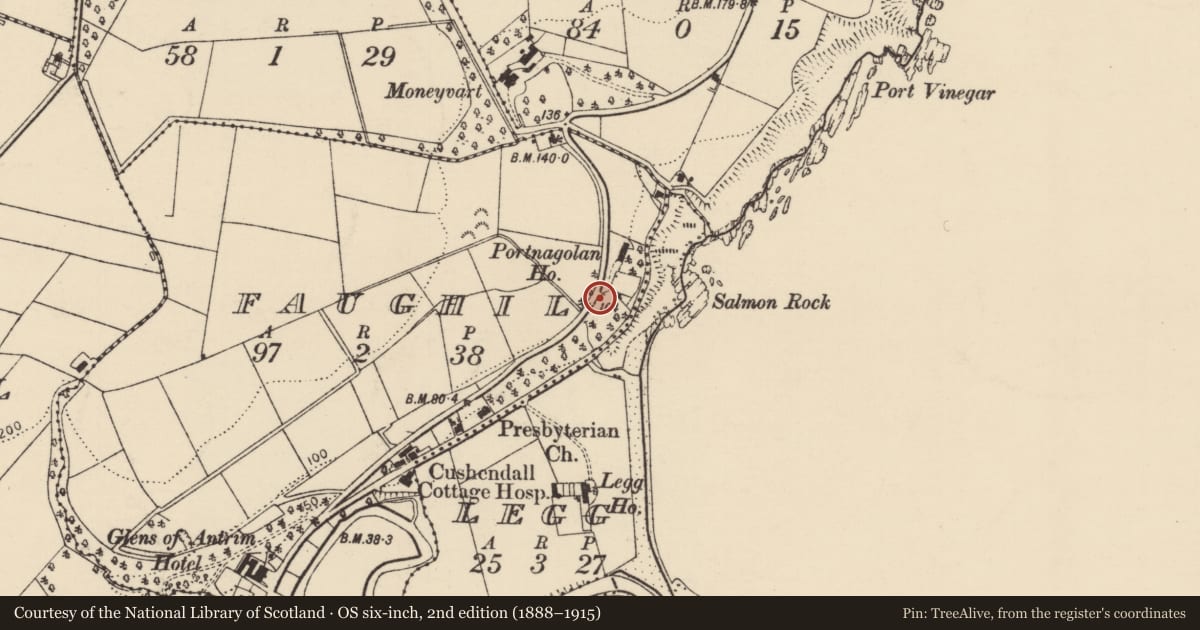Ordnance Survey six-inch map, 2nd edition (1888–1915) covering the location of 'San Michele', Faughil, Causeway Coast and Glens, with a pin at the register's coordinates