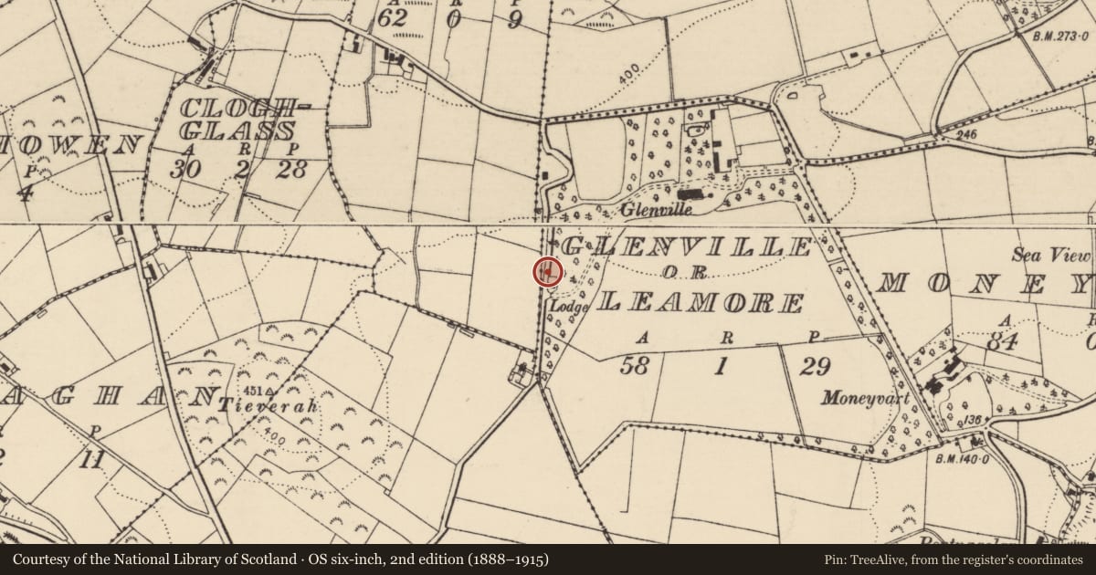 Ordnance Survey six-inch map, 2nd edition (1888–1915) covering the location of Lodge at Glenville House, Causeway Coast and Glens, with a pin at the register's coordinates