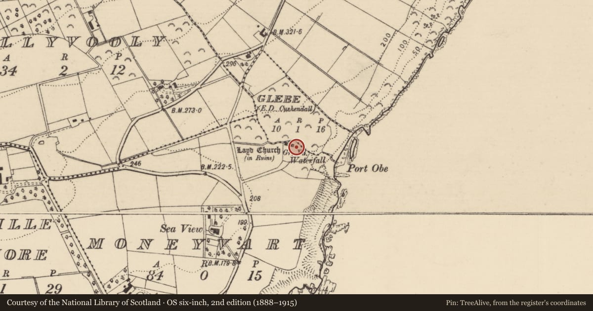 Ordnance Survey six-inch map, 2nd edition (1888–1915) covering the location of Mc Donnell Memorials, Moneyvart, Causeway Coast and Glens, with a pin at the register's coordinates