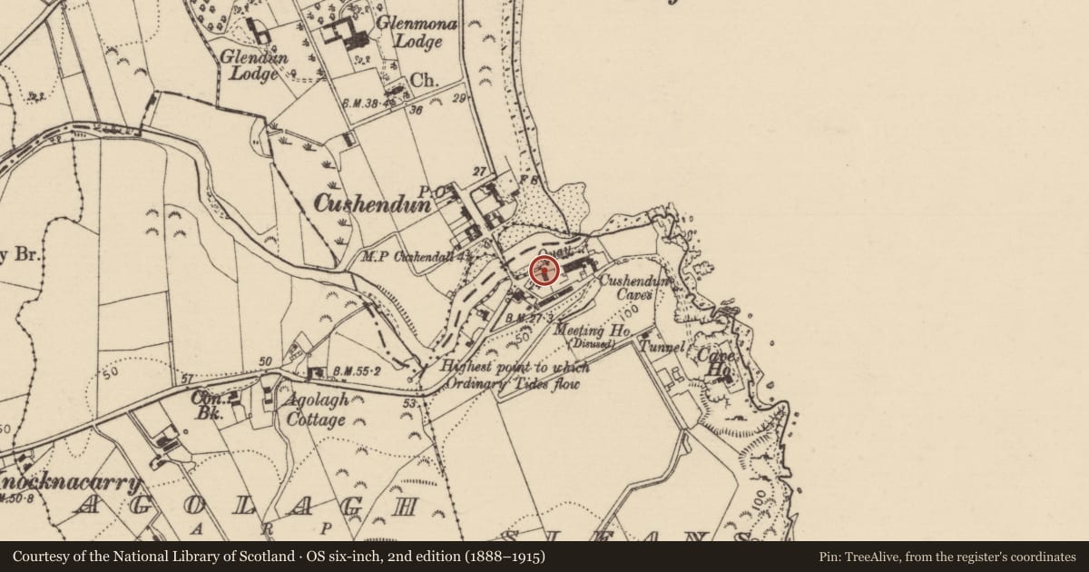 Ordnance Survey six-inch map, 2nd edition (1888–1915) covering the location of 6 & 10 Strandview Park, Causeway Coast and Glens, with a pin at the register's coordinates