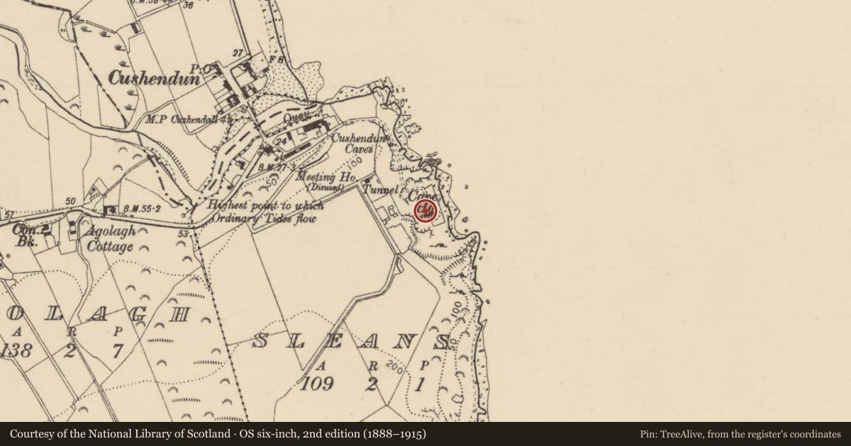 Ordnance Survey six-inch map, 2nd edition (1888–1915) covering the location of Cave House, Causeway Coast and Glens, with a pin at the register's coordinates