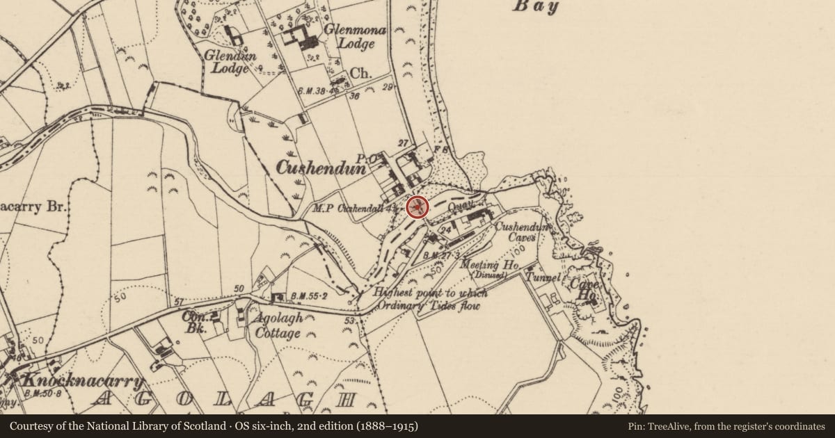 Ordnance Survey six-inch map, 2nd edition (1888–1915) covering the location of Bridge (Road), Causeway Coast and Glens, with a pin at the register's coordinates