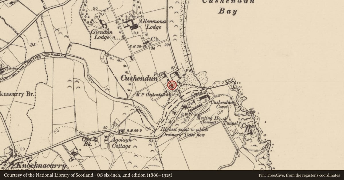Ordnance Survey six-inch map, 2nd edition (1888–1915) covering the location of Mc Bride'S, Causeway Coast and Glens, with a pin at the register's coordinates