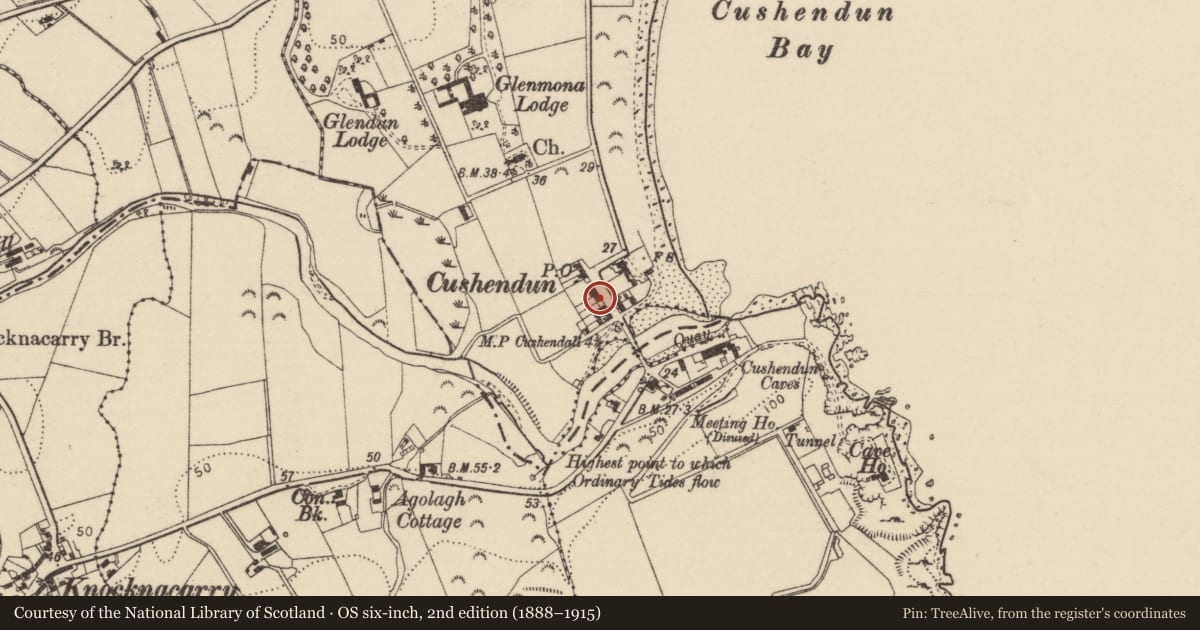 Ordnance Survey six-inch map, 2nd edition (1888–1915) covering the location of 1 The Square, Causeway Coast and Glens, with a pin at the register's coordinates