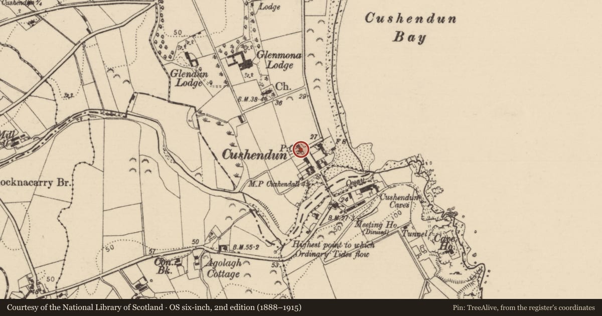 Ordnance Survey six-inch map, 2nd edition (1888–1915) covering the location of 7 The Square, Causeway Coast and Glens, with a pin at the register's coordinates