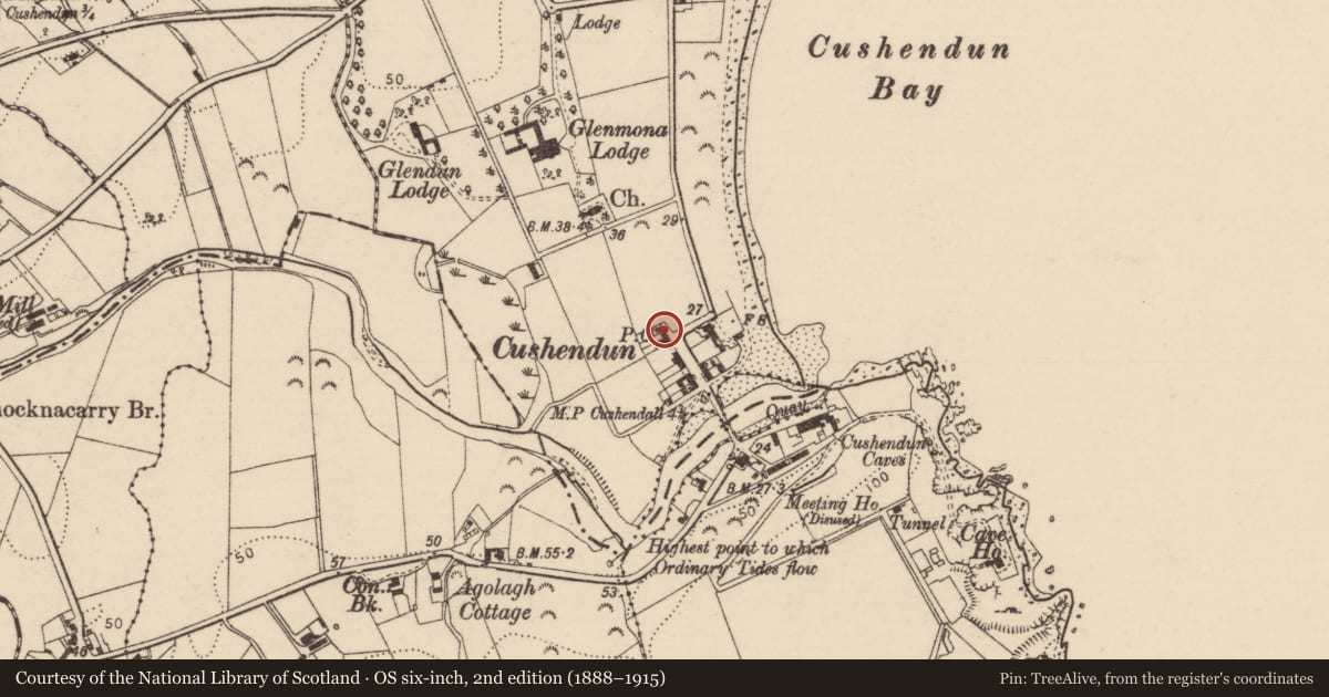 Ordnance Survey six-inch map, 2nd edition (1888–1915) covering the location of 6 Main Street, Cushendun, Causeway Coast and Glens, with a pin at the register's coordinates