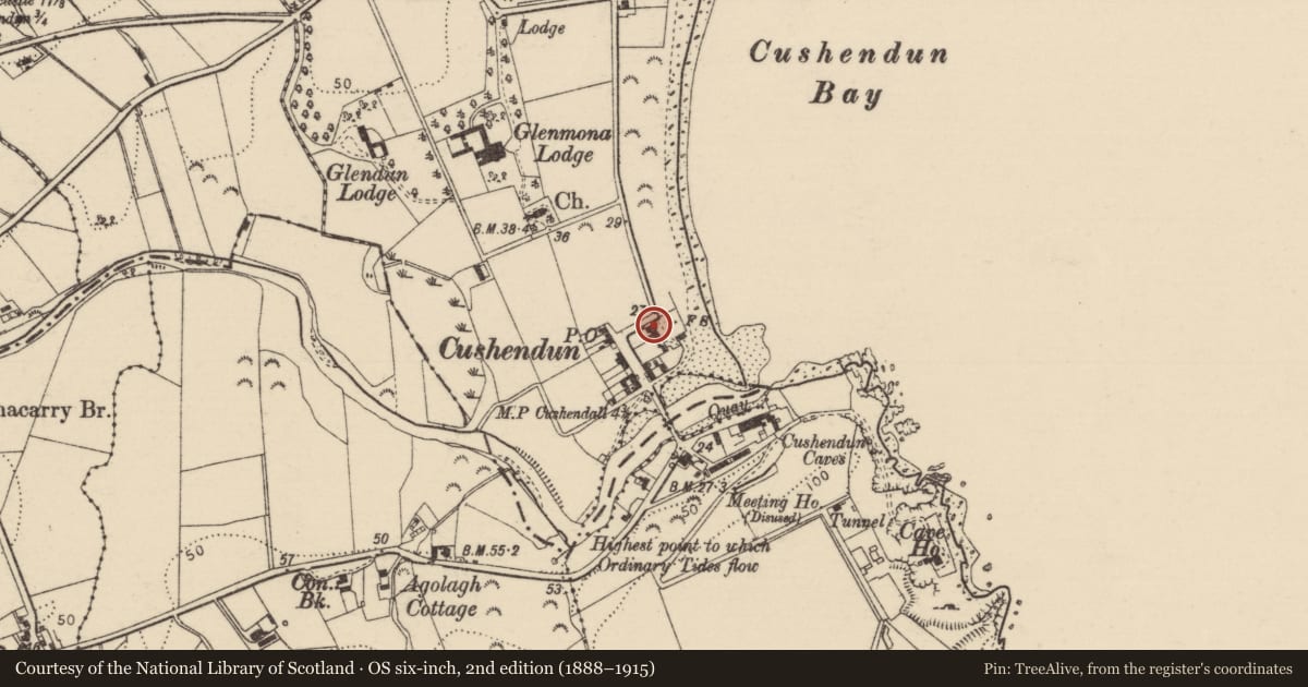 Ordnance Survey six-inch map, 2nd edition (1888–1915) covering the location of 2 Maud Cottages, Causeway Coast and Glens, with a pin at the register's coordinates