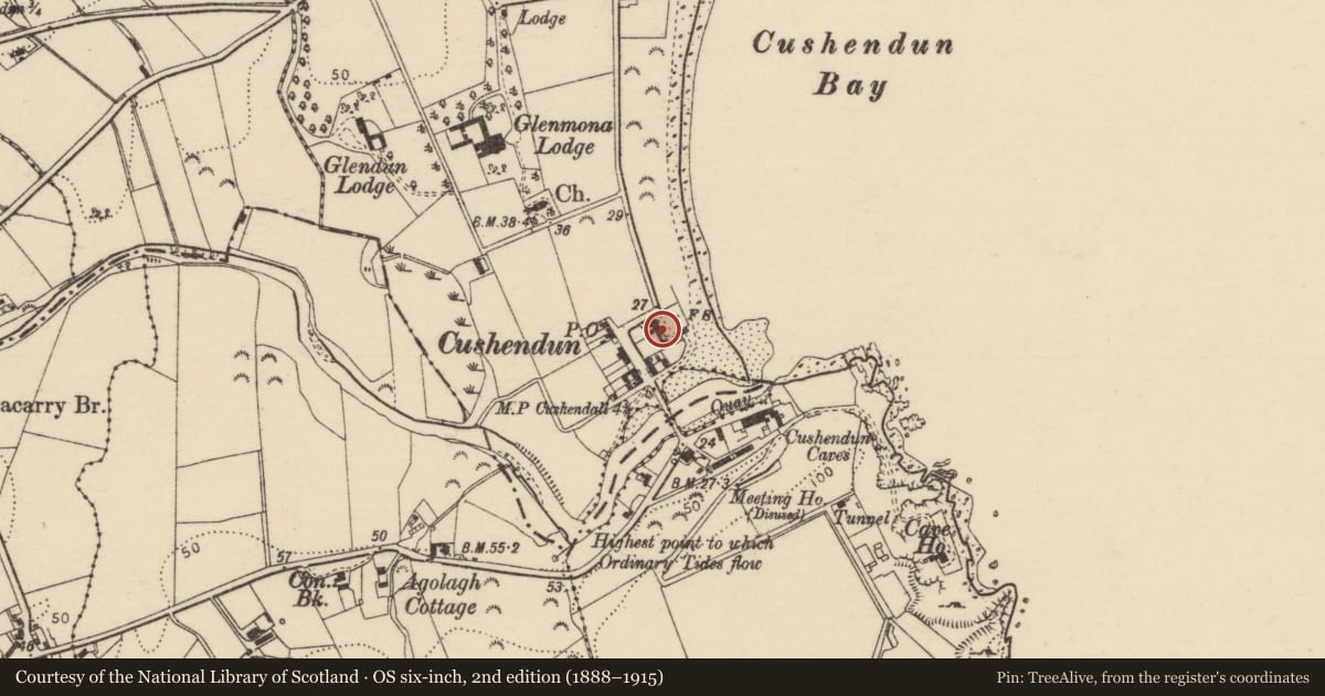 Ordnance Survey six-inch map, 2nd edition (1888–1915) covering the location of 4 Maud Cottages, Causeway Coast and Glens, with a pin at the register's coordinates