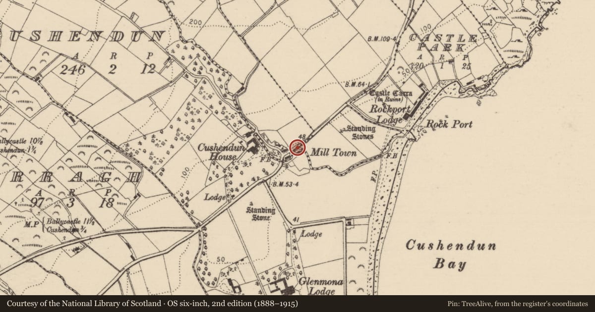 Ordnance Survey six-inch map, 2nd edition (1888–1915) covering the location of Milltown Cottage, Causeway Coast and Glens, with a pin at the register's coordinates