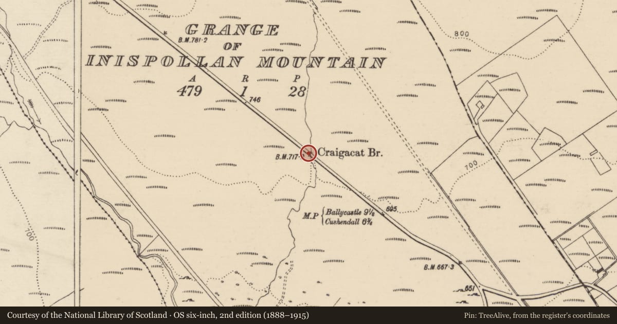 Ordnance Survey six-inch map, 2nd edition (1888–1915) covering the location of Craigacat Bridge, Grange of Inispollan Mountain, Causeway Coast and Glens, with a pin at the register's coordinates