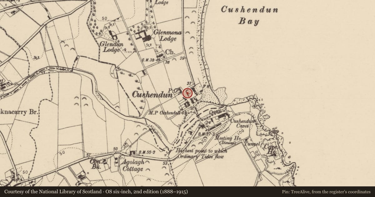 Ordnance Survey six-inch map, 2nd edition (1888–1915) covering the location of Telephone Kiosk, Causeway Coast and Glens, with a pin at the register's coordinates