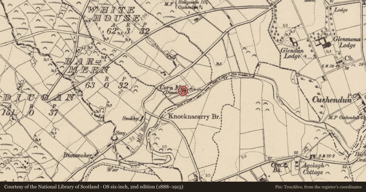 Ordnance Survey six-inch map, 2nd edition (1888–1915) covering the location of White House Mill, Causeway Coast and Glens, with a pin at the register's coordinates