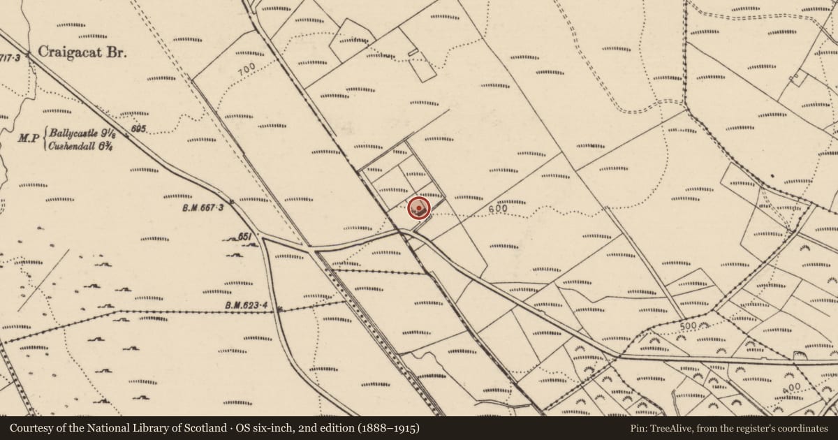 Ordnance Survey six-inch map, 2nd edition (1888–1915) covering the location of 65 Cushleake Road, Cushleake Mountain South, Causeway Coast and Glens, with a pin at the register's coordinates