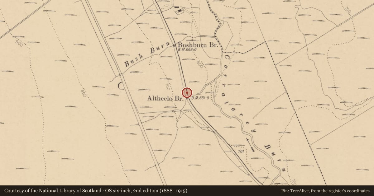 Ordnance Survey six-inch map, 2nd edition (1888–1915) covering the location of Altheela Bridge Ballypatrick, Causeway Coast and Glens, with a pin at the register's coordinates