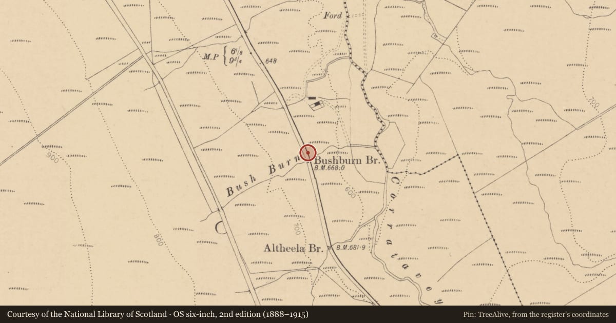 Ordnance Survey six-inch map, 2nd edition (1888–1915) covering the location of Bush Burn Bridge, Ballypatrick, Causeway Coast and Glens, with a pin at the register's coordinates