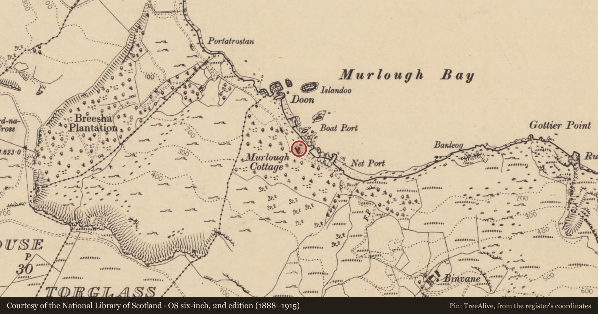 Ordnance Survey six-inch map, 2nd edition (1888–1915) covering the location of Murlough Cottage, Goodland, Causeway Coast and Glens, with a pin at the register's coordinates