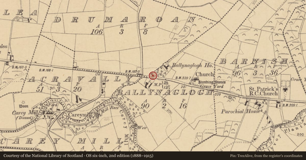 Ordnance Survey six-inch map, 2nd edition (1888–1915) covering the location of Milestone (Mile Marker), Ballynaglogh, Causeway Coast and Glens, with a pin at the register's coordinates