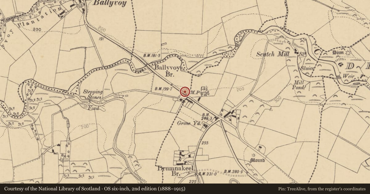 Ordnance Survey six-inch map, 2nd edition (1888–1915) covering the location of Milestone (Mile Marker), Ballynagard, Causeway Coast and Glens, with a pin at the register's coordinates
