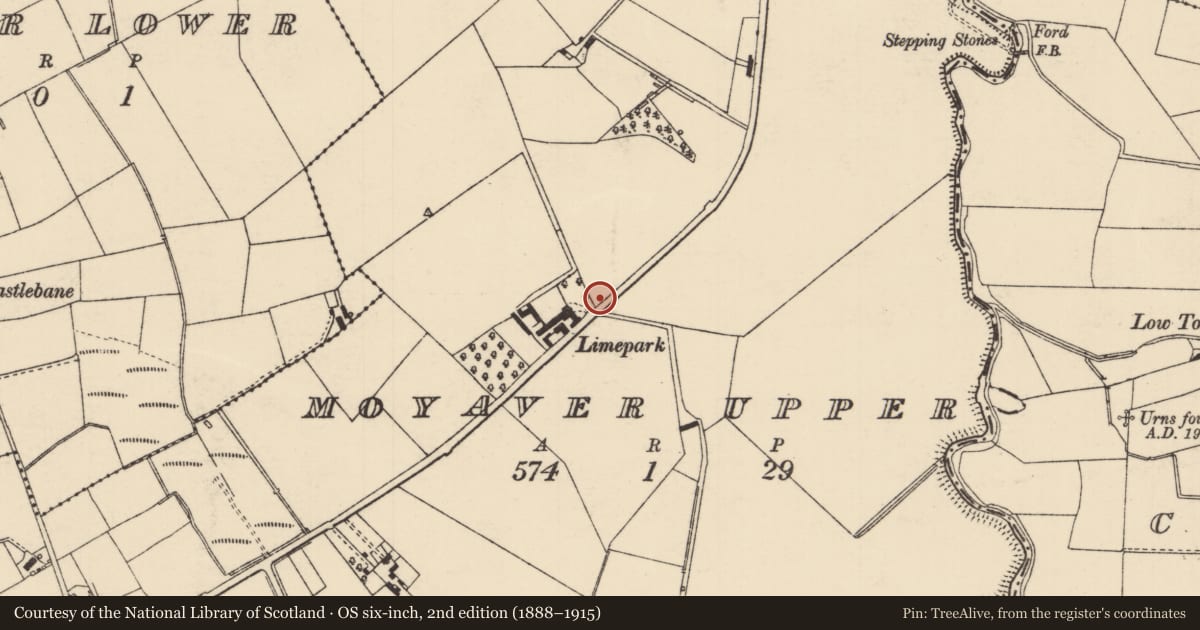 Ordnance Survey six-inch map, 2nd edition (1888–1915) covering the location of 'Cairn of Peace', Moyaver Upper, Causeway Coast and Glens, with a pin at the register's coordinates