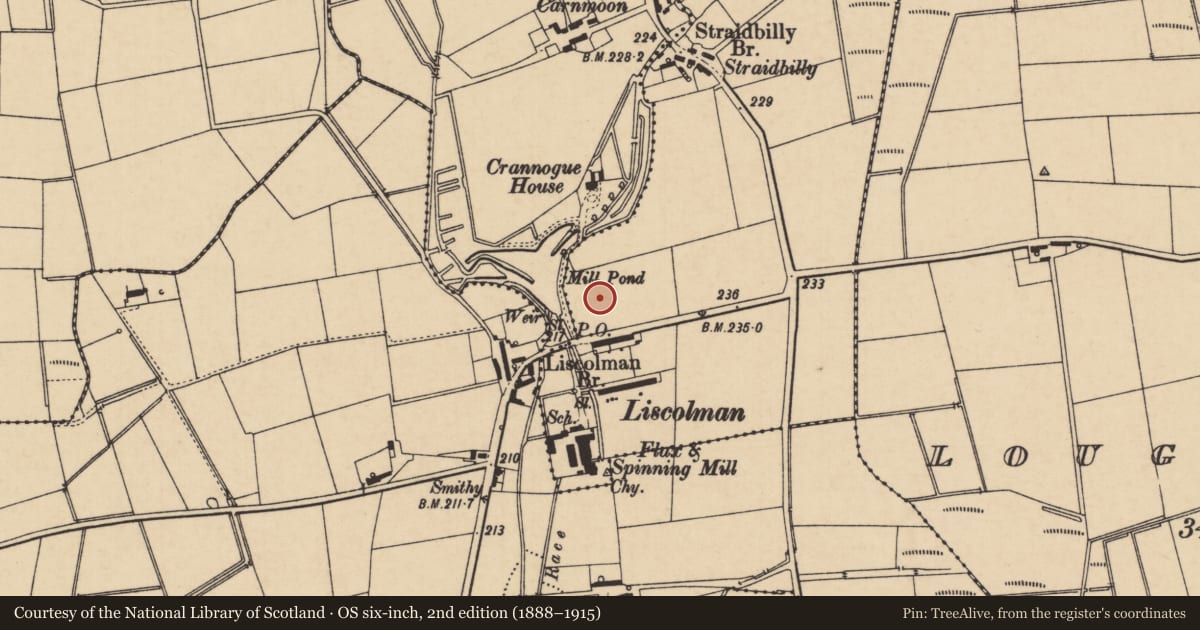 Ordnance Survey six-inch map, 2nd edition (1888–1915) covering the location of K6 Telephone Kiosk, Straidbilly, with a pin at the register's coordinates