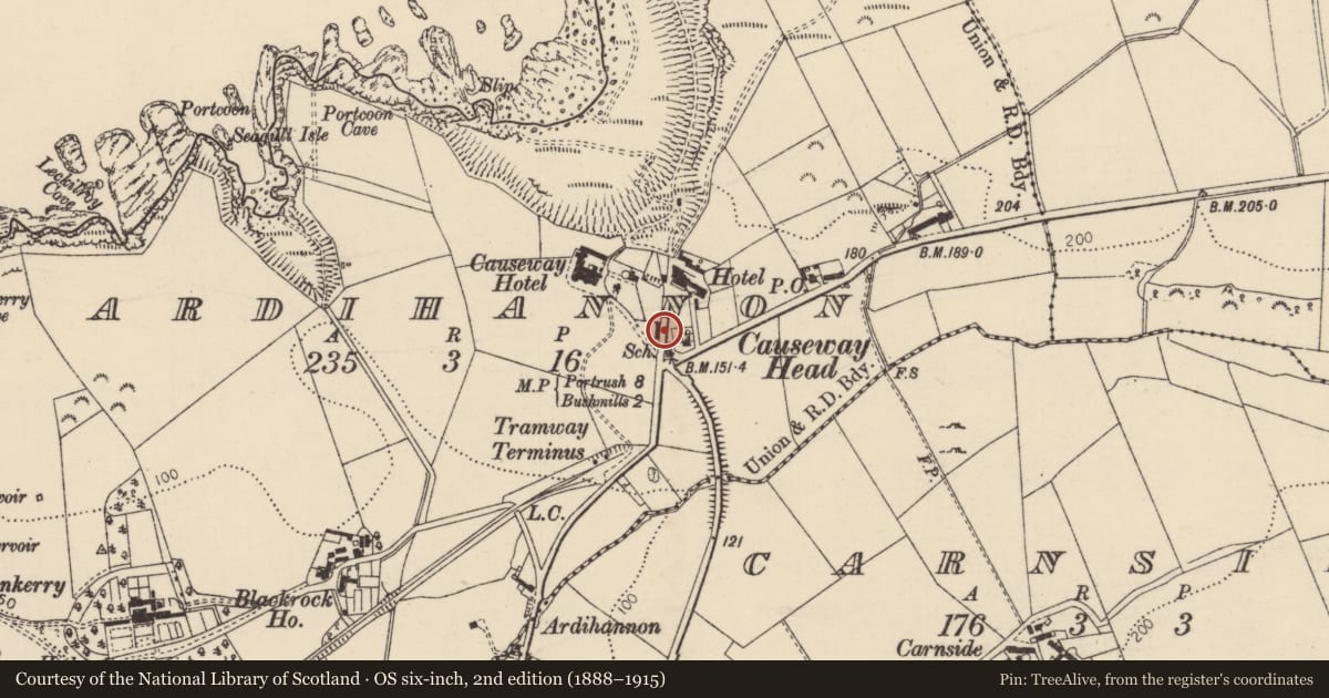 Ordnance Survey six-inch map, 2nd edition (1888–1915) covering the location of K6 Telephone Kiosk, ARDIHANNON, Moyle, with a pin at the register's coordinates