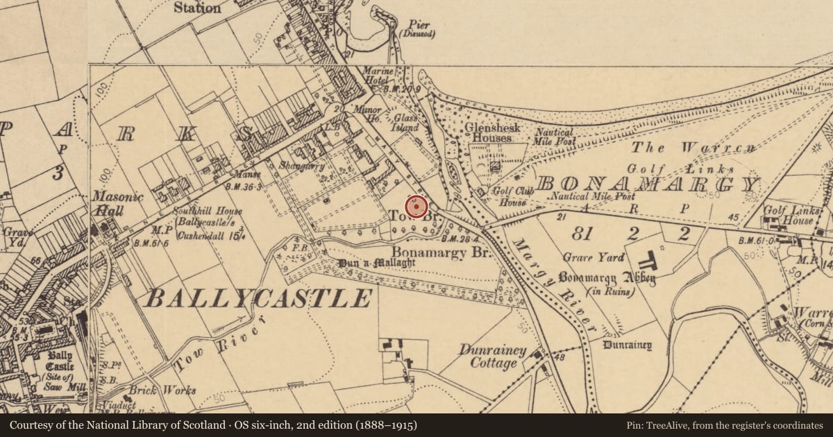 Ordnance Survey six-inch map, 2nd edition (1888–1915) covering the location of Moyle District Council Offices, Town Parks, Causeway Coast and Glens, with a pin at the register's coordinates