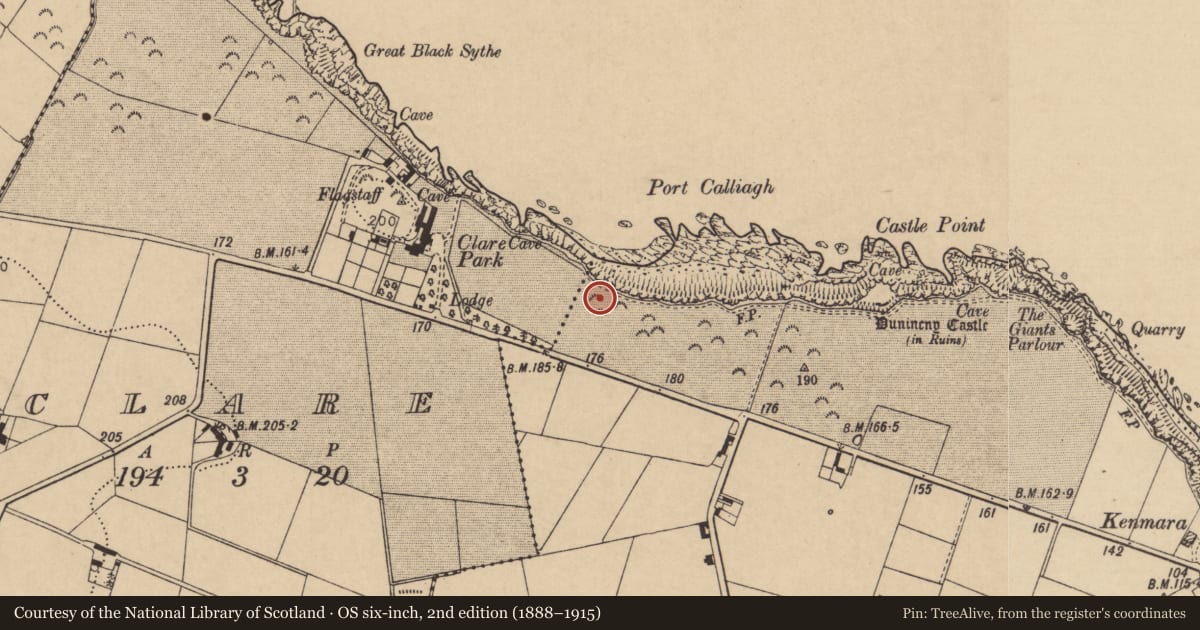 Ordnance Survey six-inch map, 2nd edition (1888–1915) covering the location of Burial Grounds, Town Parks, Causeway Coast and Glens, with a pin at the register's coordinates
