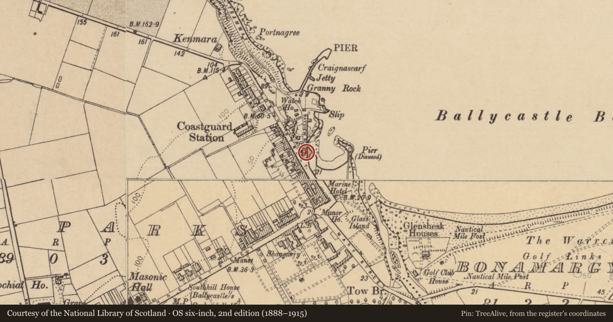 Ordnance Survey six-inch map, 2nd edition (1888–1915) covering the location of K6 Telephone Kiosk, Town Parks, with a pin at the register's coordinates