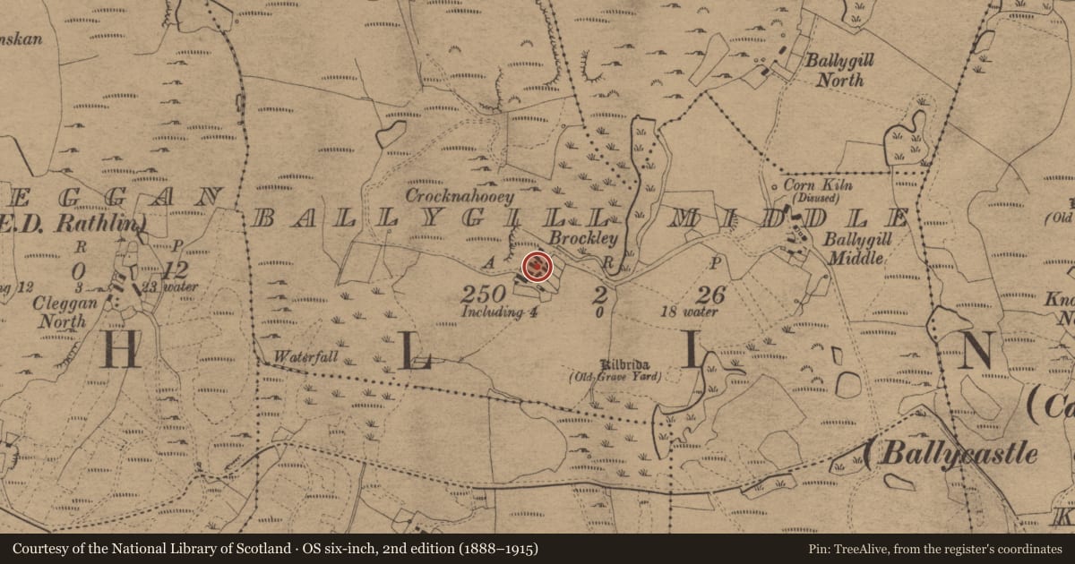 Ordnance Survey six-inch map, 2nd edition (1888–1915) covering the location of Brockley Cottage, Ballygill Middle, Causeway Coast and Glens, with a pin at the register's coordinates