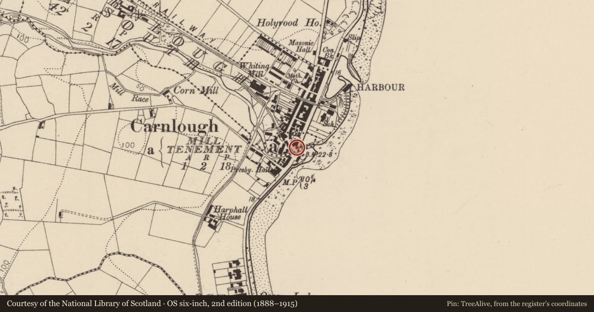 Ordnance Survey six-inch map, 2nd edition (1888–1915) covering the location of Coastal Road Bridge, Mill Tenement, Mid and East Antrim, with a pin at the register's coordinates