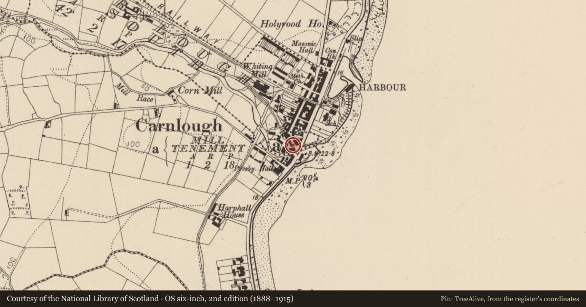 Ordnance Survey six-inch map, 2nd edition (1888–1915) covering the location of McAuley’s Hotel, Mill Tenement, Mid and East Antrim, with a pin at the register's coordinates