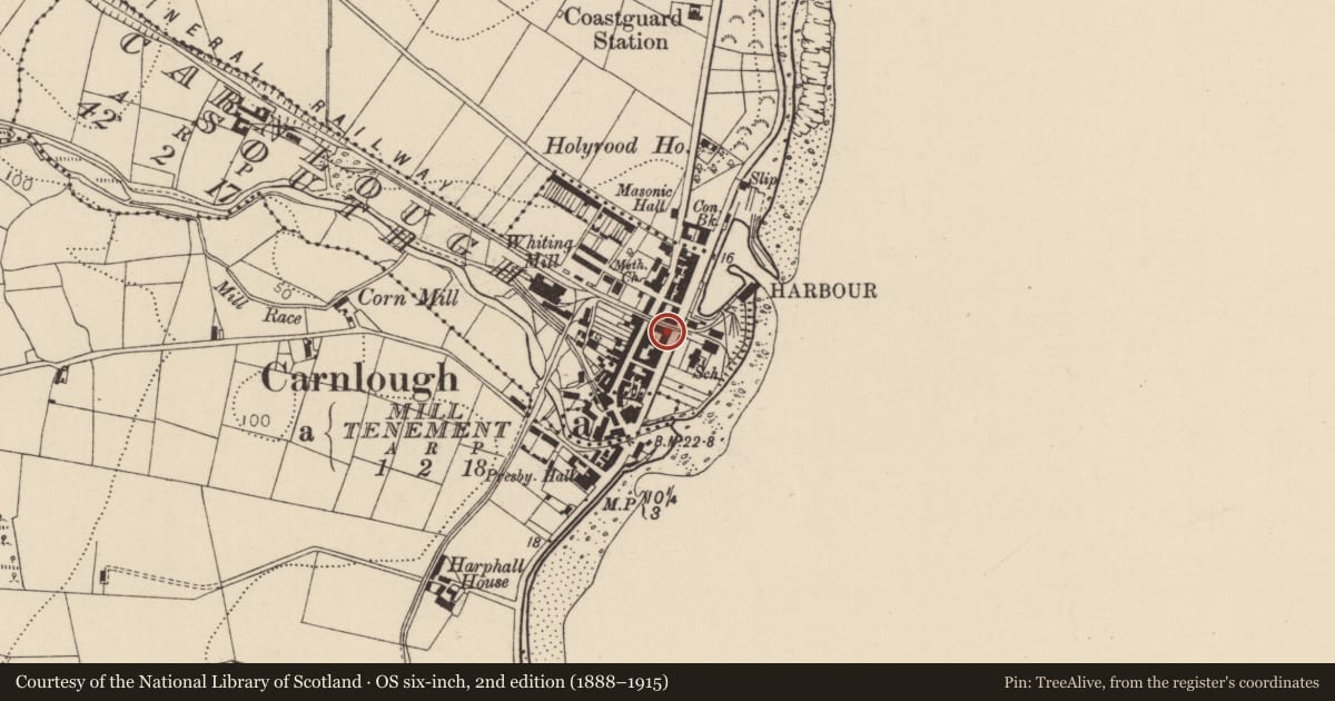 Ordnance Survey six-inch map, 2nd edition (1888–1915) covering the location of 26-28 Harbour Road, Carnlough South, Mid and East Antrim, with a pin at the register's coordinates