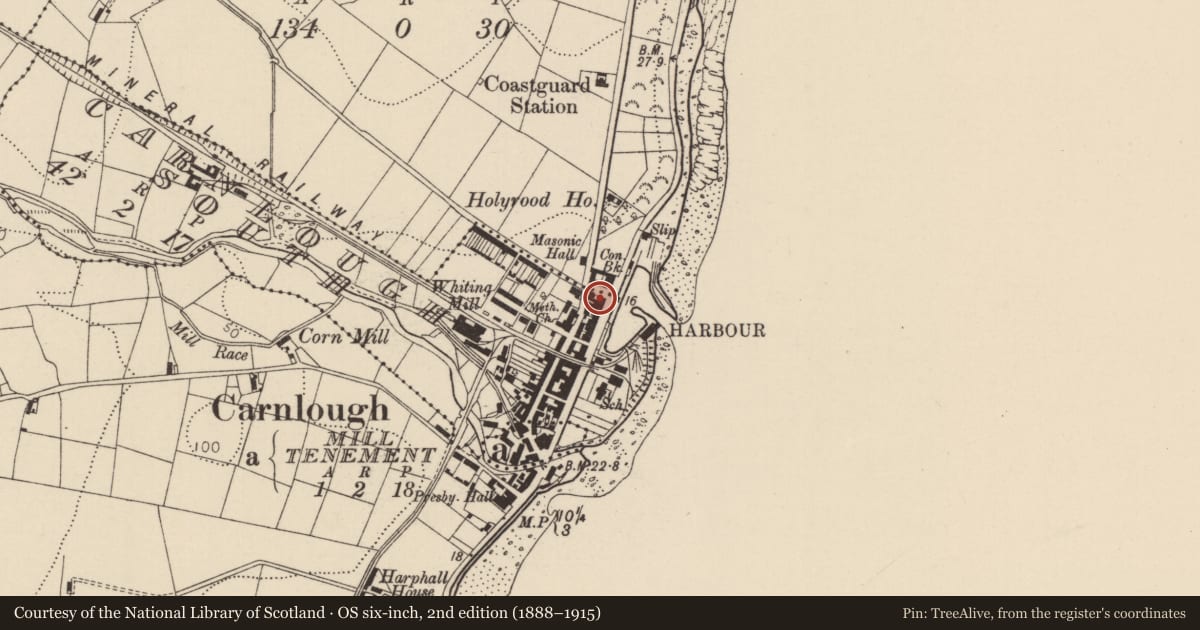 Ordnance Survey six-inch map, 2nd edition (1888–1915) covering the location of 54-56 Harbour Road, Carnlough South, Mid and East Antrim, with a pin at the register's coordinates
