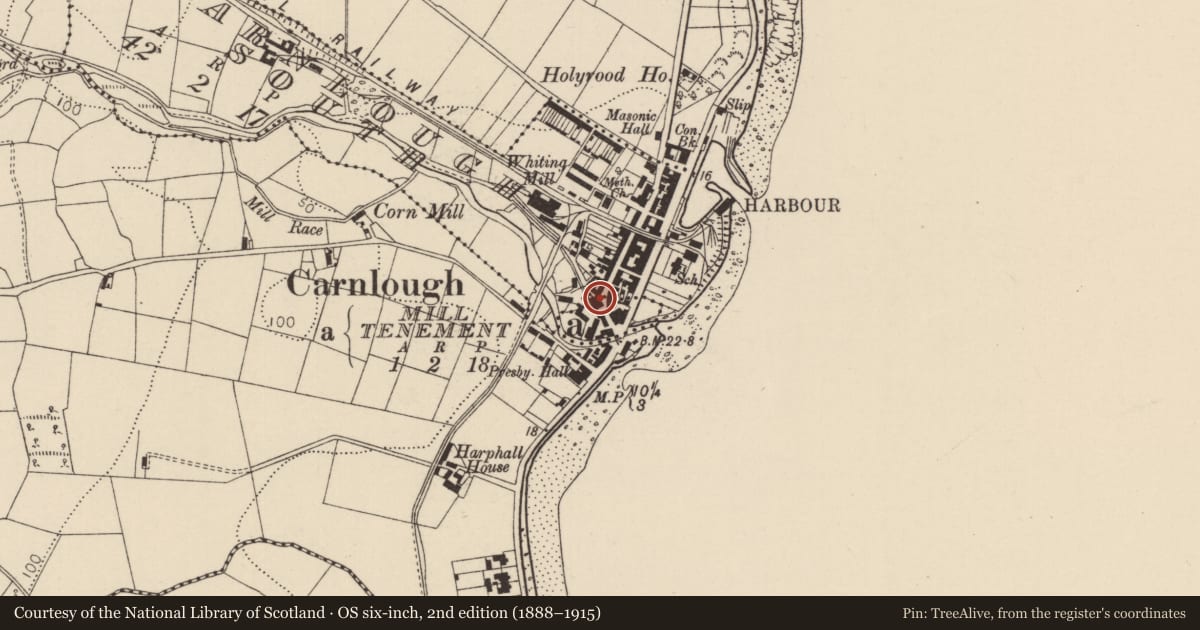 Ordnance Survey six-inch map, 2nd edition (1888–1915) covering the location of 10-12 Bridge Street, Mill Tenement, Mid and East Antrim, with a pin at the register's coordinates